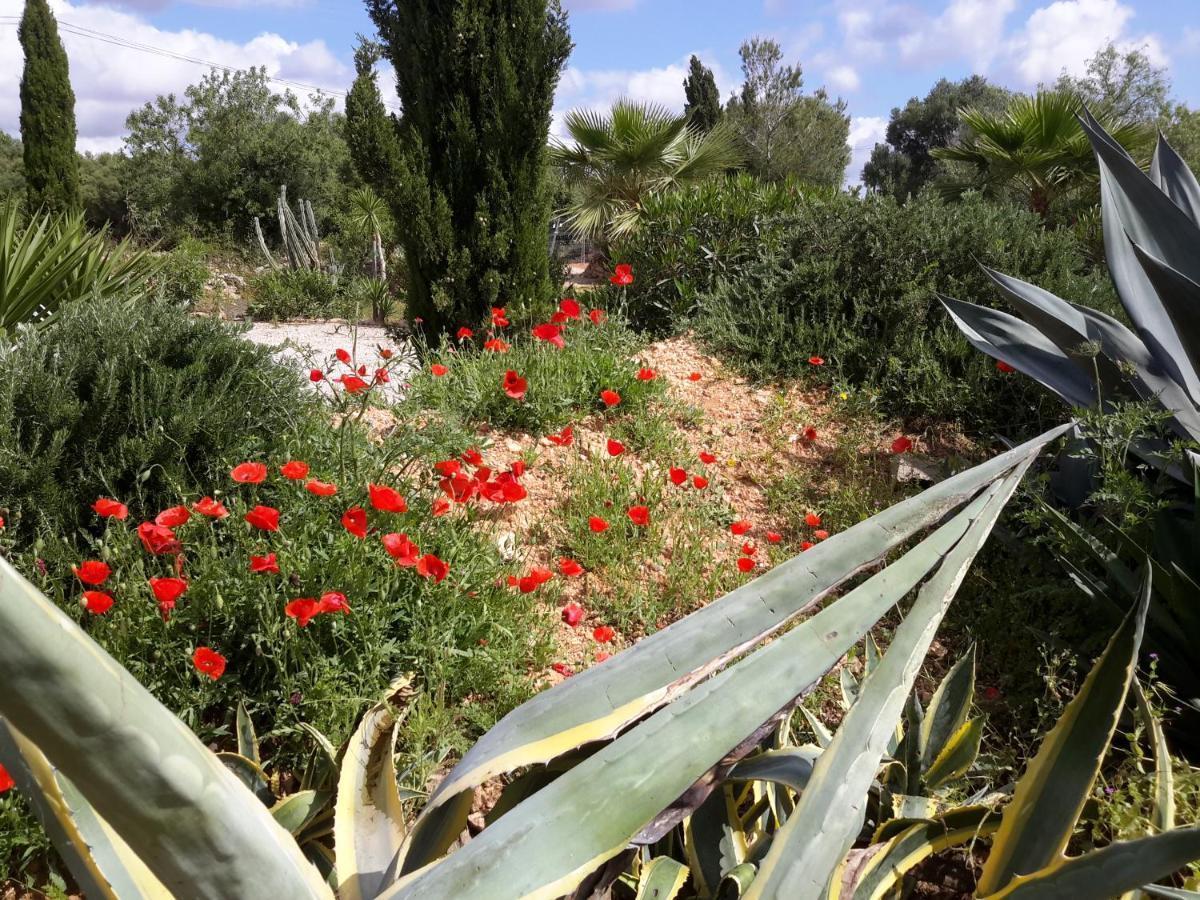 Finca Alqueria Fosca Campos  Buitenkant foto