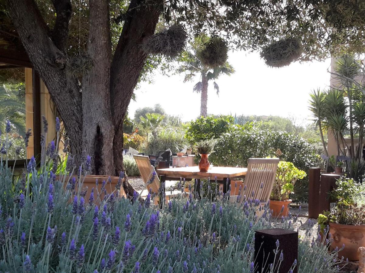Finca Alqueria Fosca Campos  Buitenkant foto