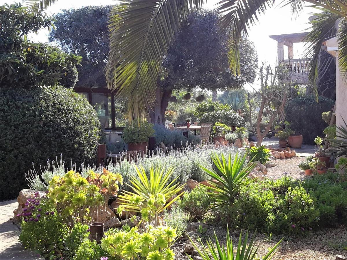 Finca Alqueria Fosca Campos  Buitenkant foto