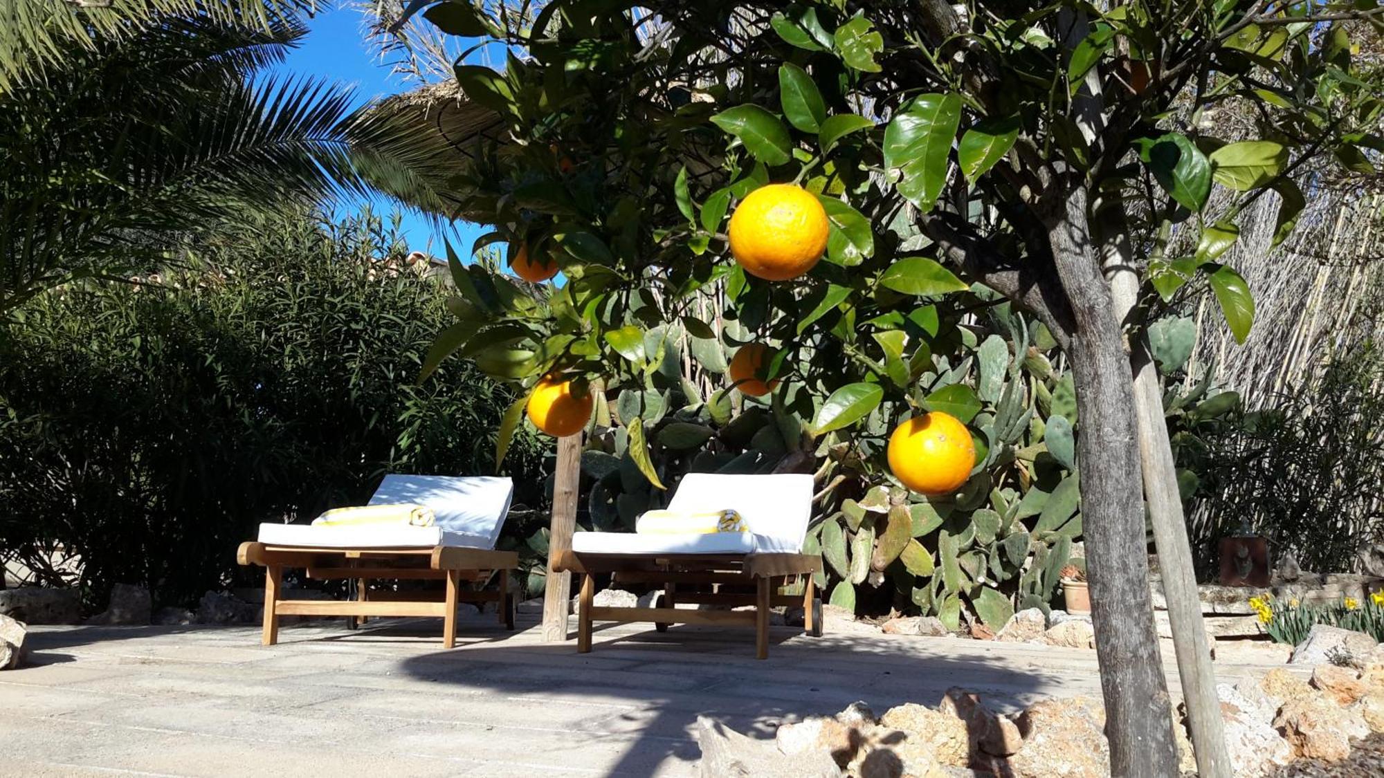 Finca Alqueria Fosca Campos  Buitenkant foto