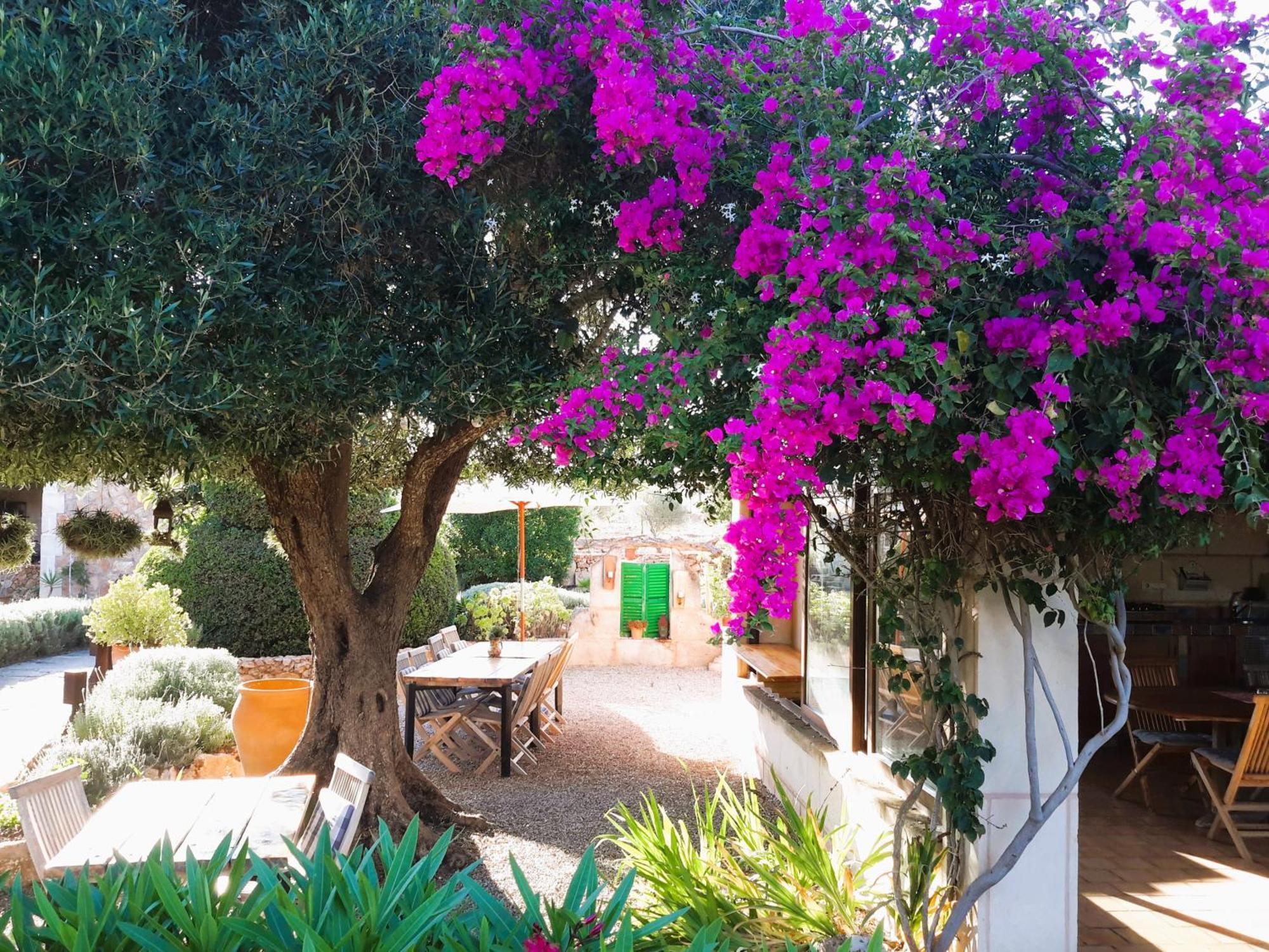 Finca Alqueria Fosca Campos  Buitenkant foto